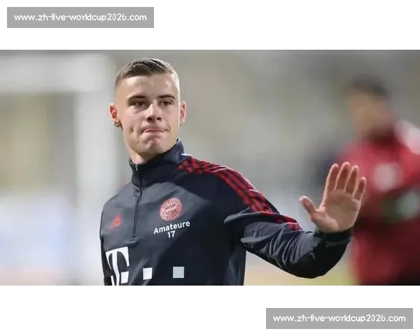 官方：拜仁前锋维多维奇 120 万欧加盟萨格勒布迪纳摩，身披 10 号剑指双冠