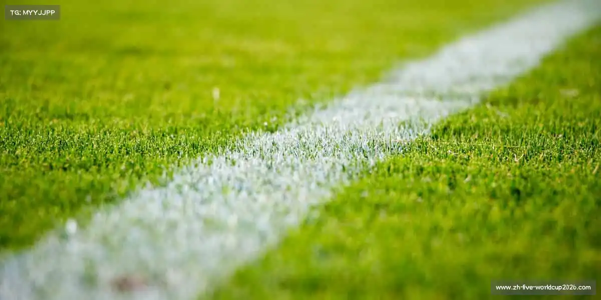 <strong>世界杯下注</strong>⚾️无论是新手还是高手，这里都有你的一席之地 —— 一起上场，尽情闪耀！